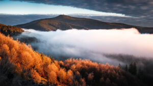 Apartmán Staré Hamry